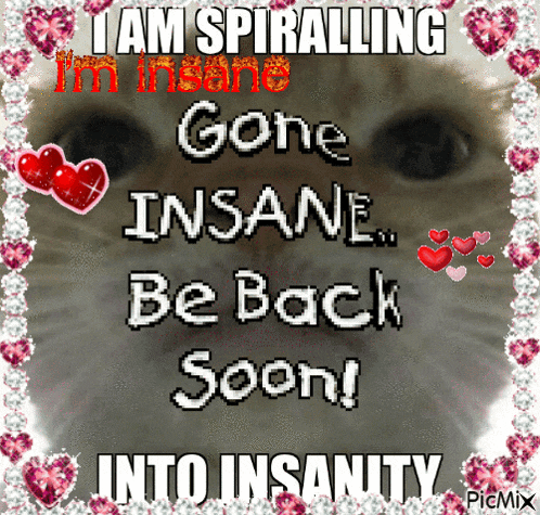 a picture of a cat that says i am spiralling i 'm insane gone insane be back soon !