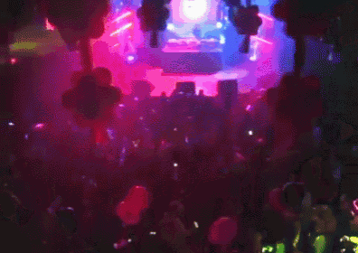 Party GIF - Partyinh GIFs