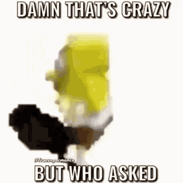 damn that 's crazy but who asked spongebob squarepants gif