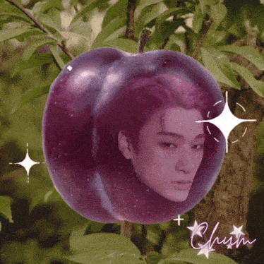 a purple apple with a picture of a person inside of it and the word chun on the bottom