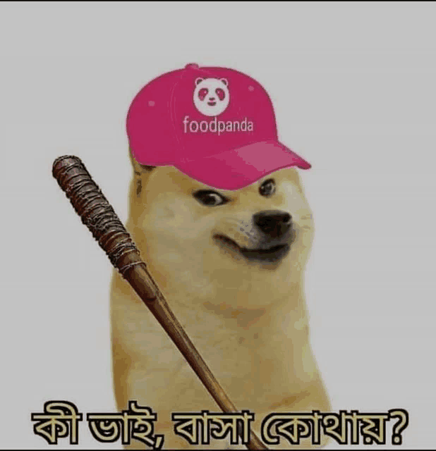a dog wearing a pink foodpanda hat holding a bat