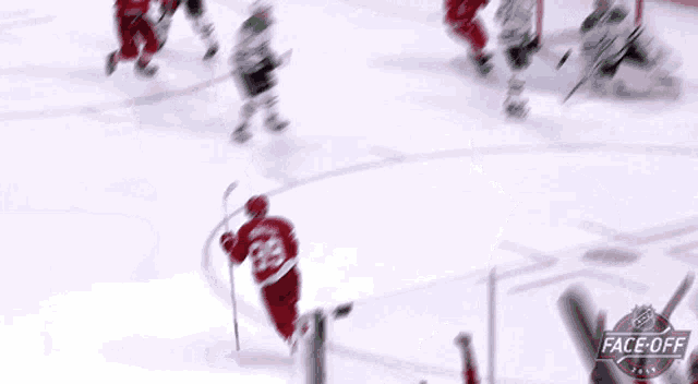 a hockey player in a red jersey with the number 39 on the back