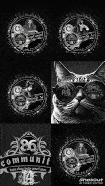 a black and white photo of a cat wearing sunglasses with the number 86 on it