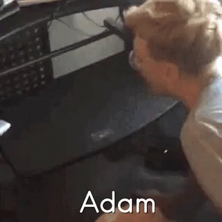 Adam Adamvine GIF - Adam Adamvine Vine GIFs