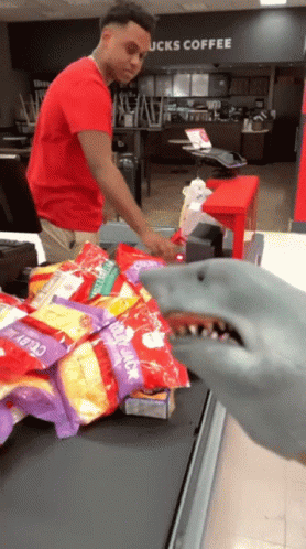 Shark Puppet Shopping GIF - Shark Puppet Shopping Target GIFs