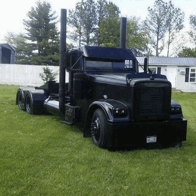 a black semi truck is parked in a grassy field next to a house .