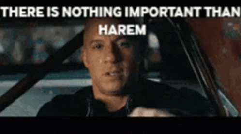 Harem Defne GIF - Harem Defne Dom Toretto GIFs