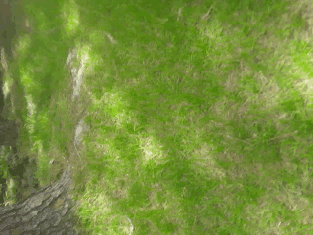 a painting of a grassy hillside with a few trees in the background