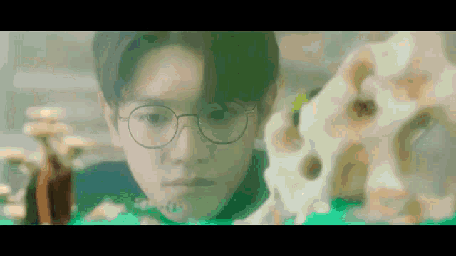 a young man wearing glasses is looking at a skull in a museum .