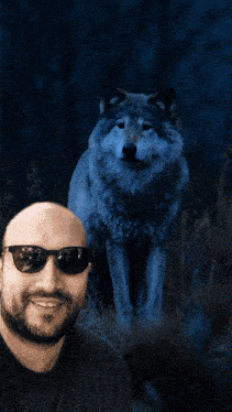 a man wearing sunglasses is standing in front of a wolf