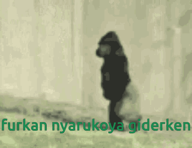 a blurred image of a gorilla with the words furkan nyarukoya giderken