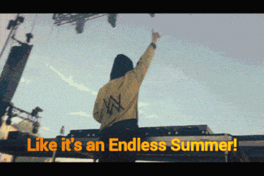 Endless Summer Alan Walker GIF - Endless Summer Alan Walker GIFs