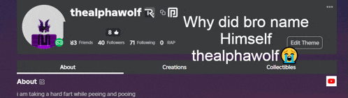 why did bro name himself thealphawolf is written on a purple background