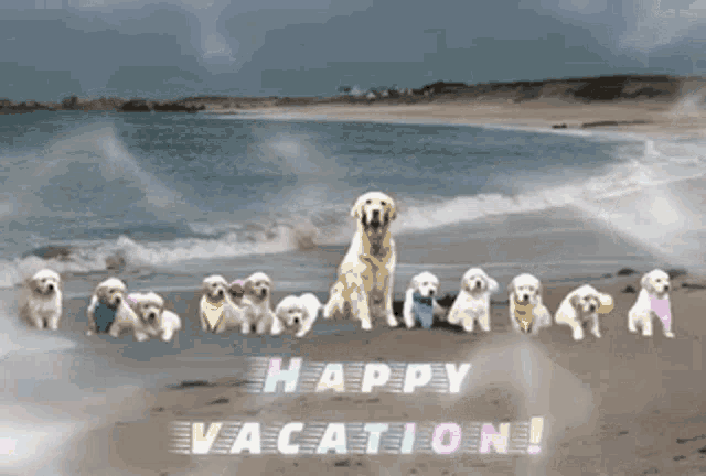 Vacation Time GIF - Vacation Time Gif GIFs