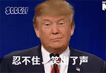 忍不住笑了 GIF - Donald Trump GIFs