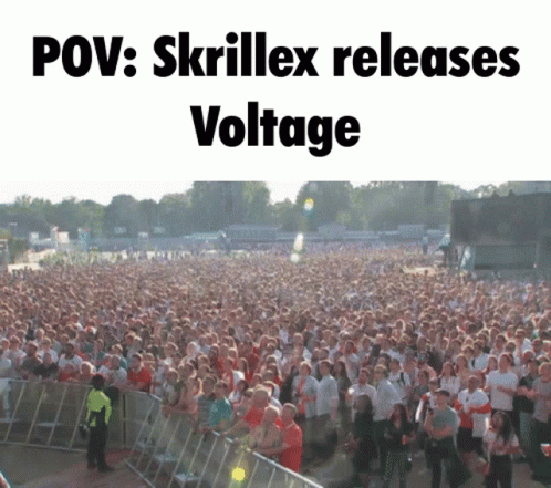 Skrillex Voltage GIF - Skrillex Voltage Celebration GIFs