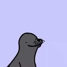 Gay Seal GIF - Gay Seal That Is So Gay GIFs
