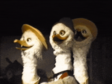 three stuffed ducks with hats on their heads are standing next to each other