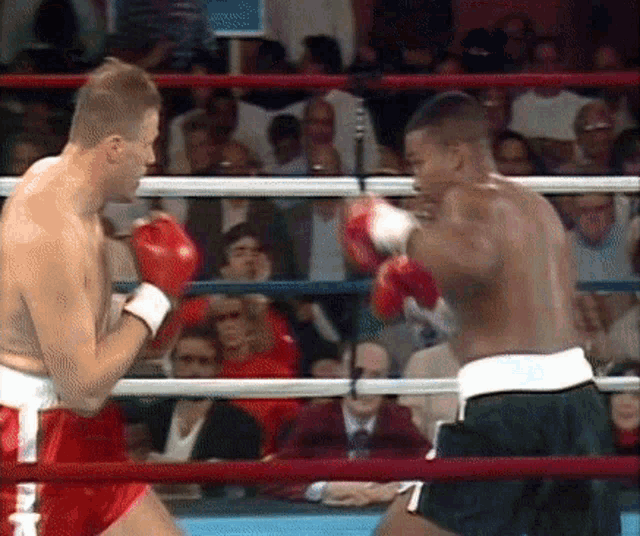 Boxing Kos GIF