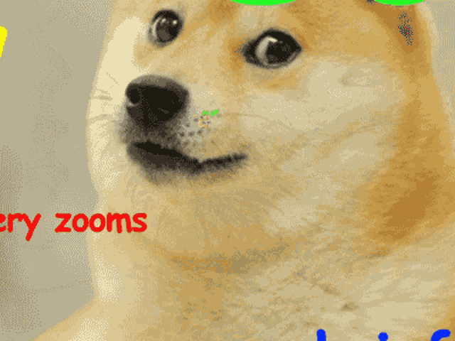 Doge Loop GIF - Doge Loop Zoom In GIFs