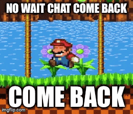 a screenshot of a video game with the words " no wait chat come back come back " on it