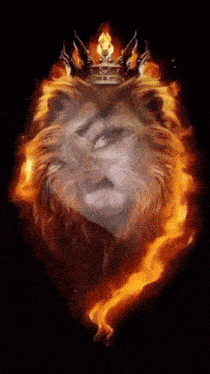 a lion wearing a crown is surrounded by flames