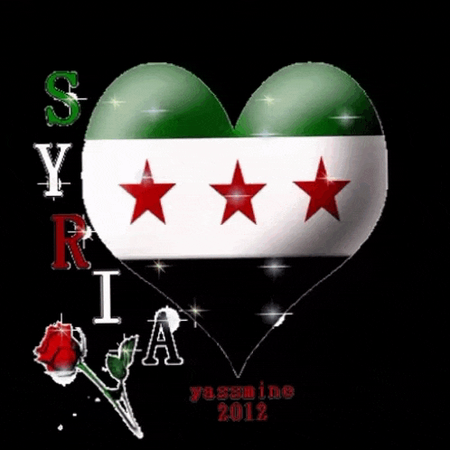 a heart with syria written on it and a red rose