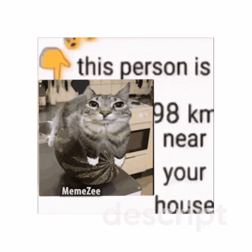 a cat sitting on a table next to a sign that says 41 near you