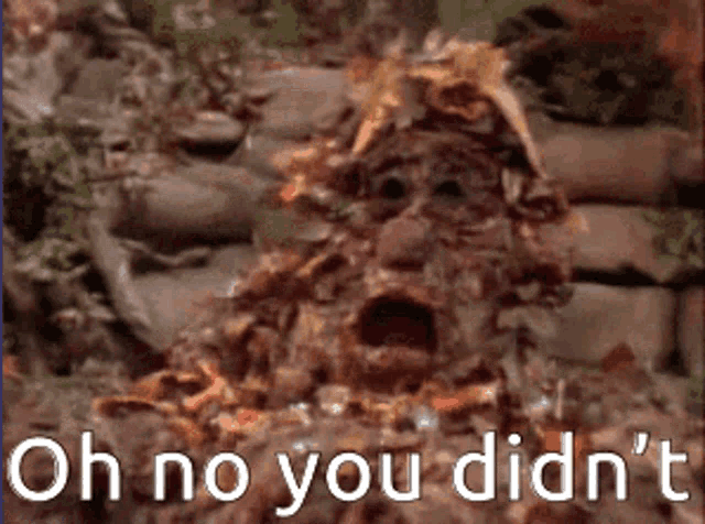 a picture of a monster with the words oh no you did n't on it