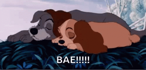 Bae Lady And The Tramp GIF - Bae Lady And The Tramp Cuddle GIFs