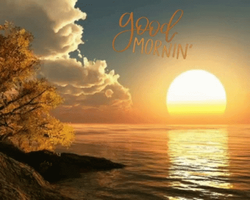 Morning Good GIF - Morning Good Sunshine GIFs