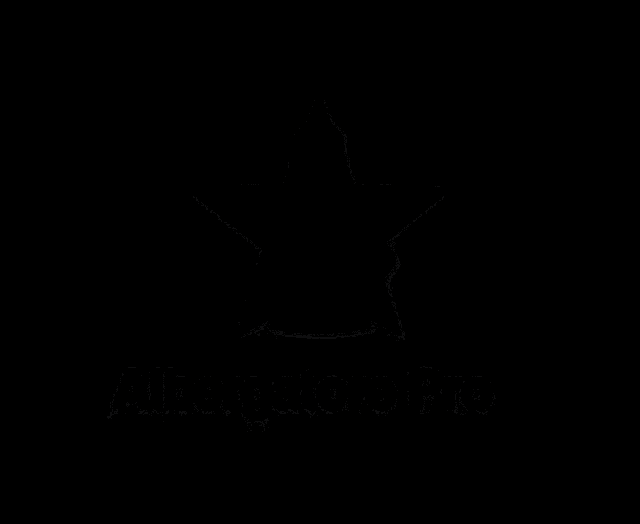 a logo for albergatore pro with a star and a man