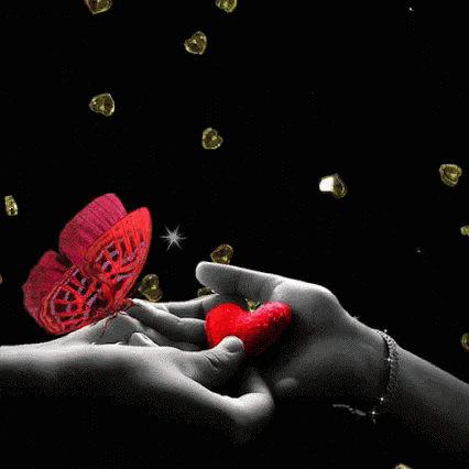 Red Butterfly GIF - Red Butterfly Hands GIFs