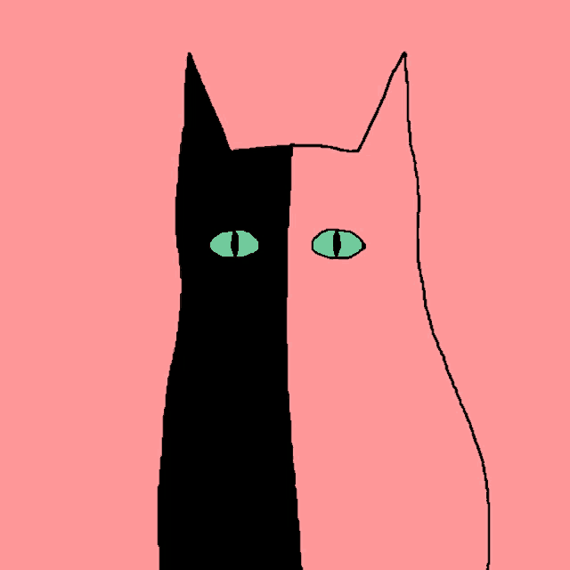 Cat Chat GIF - Cat Chat Gato GIFs