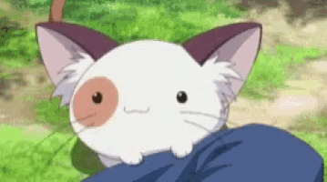 a small white cat with a brown spot on its face is sitting on a person 's lap .