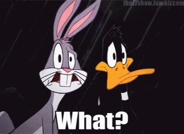 What Bugs GIF - What Bugs Daffy GIFs