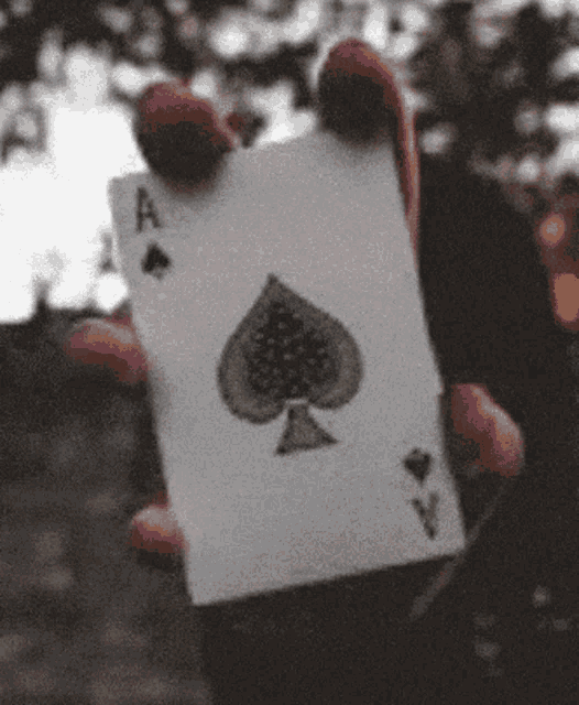 Save The Ace GIF - Save The Ace GIFs