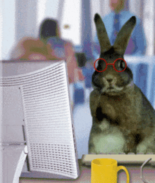 a rabbit wearing red glasses sits in front of a computer monitor