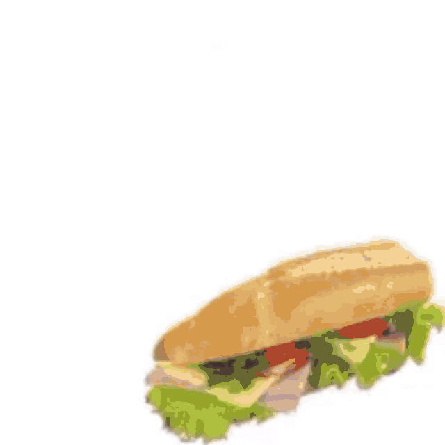 This Is A Sandwich Sandwich GIF