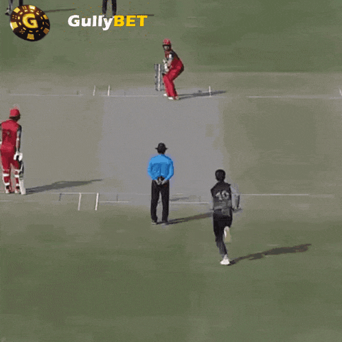Gullybet Wicket Out GIF - Gullybet Wicket Out Cricket GIFs