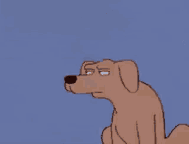 Suspicious Dog GIF - Suspicious Dog GIFs
