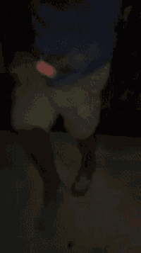 a blurry picture of a person 's legs and feet in a dark room .