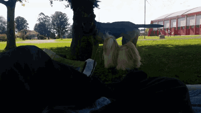 two dogs are laying in the grass near a red building