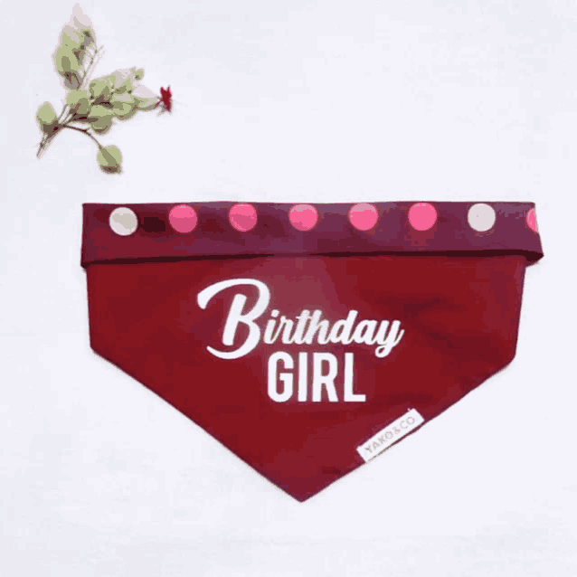 a red bandana with white polka dots says birthday girl