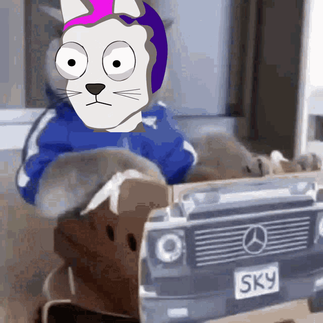 a cartoon cat is sitting in a cardboard box with a license plate that says sky