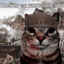 a cat wearing a military helmet with the caption " when my cat wants some food "