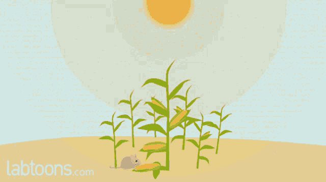 Food Chain Mouse GIF - Food Chain Mouse Falcon GIFs