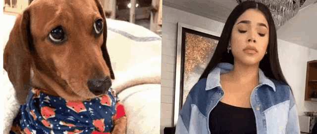a dachshund wearing a scarf and a woman wearing a denim shirt .