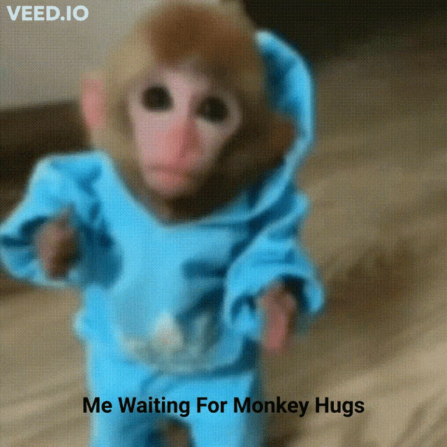 Monkey Hugs GIF