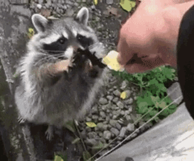 Give Me Please Im Hungry GIF - Give Me Please Im Hungry Food GIFs